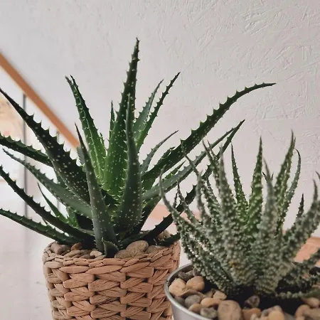 Old Town Jiva * Kaunas