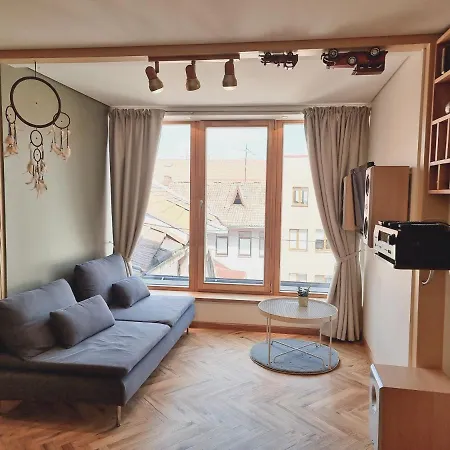 Old Town Jiva Apartment *