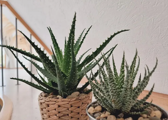 Old Town Jiva * Kaunas