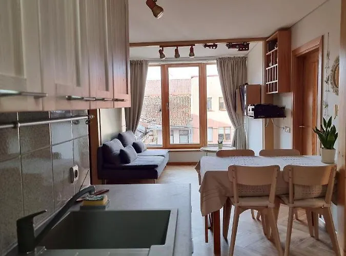 Appartement Old Town Jiva Kaunas